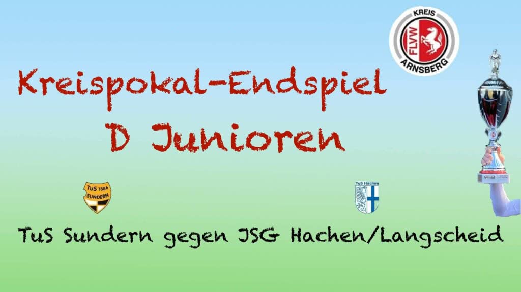 Kreispokalendspiel D Junioren